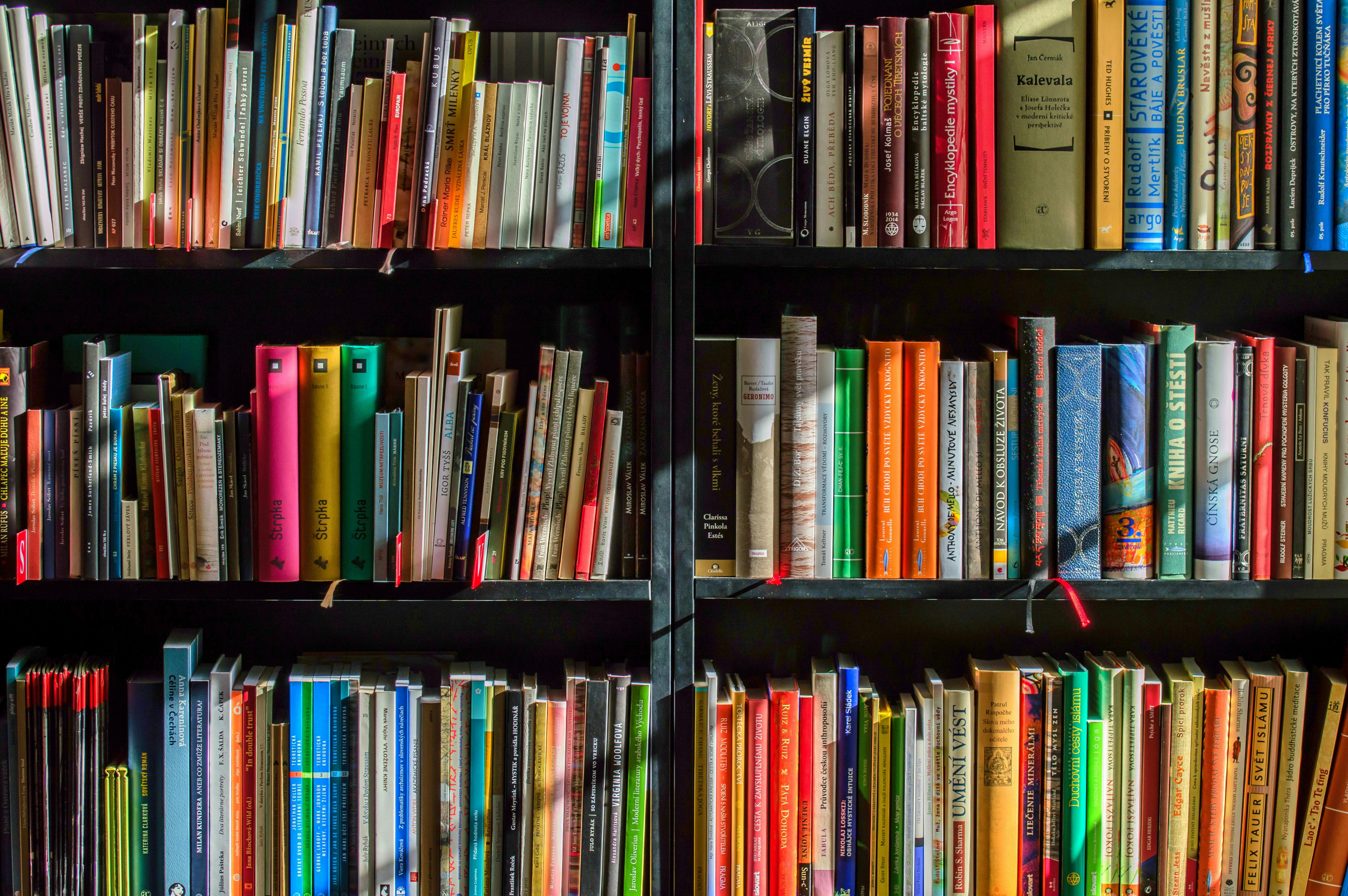 Dual Education Model in University Training Benefits and Challenges