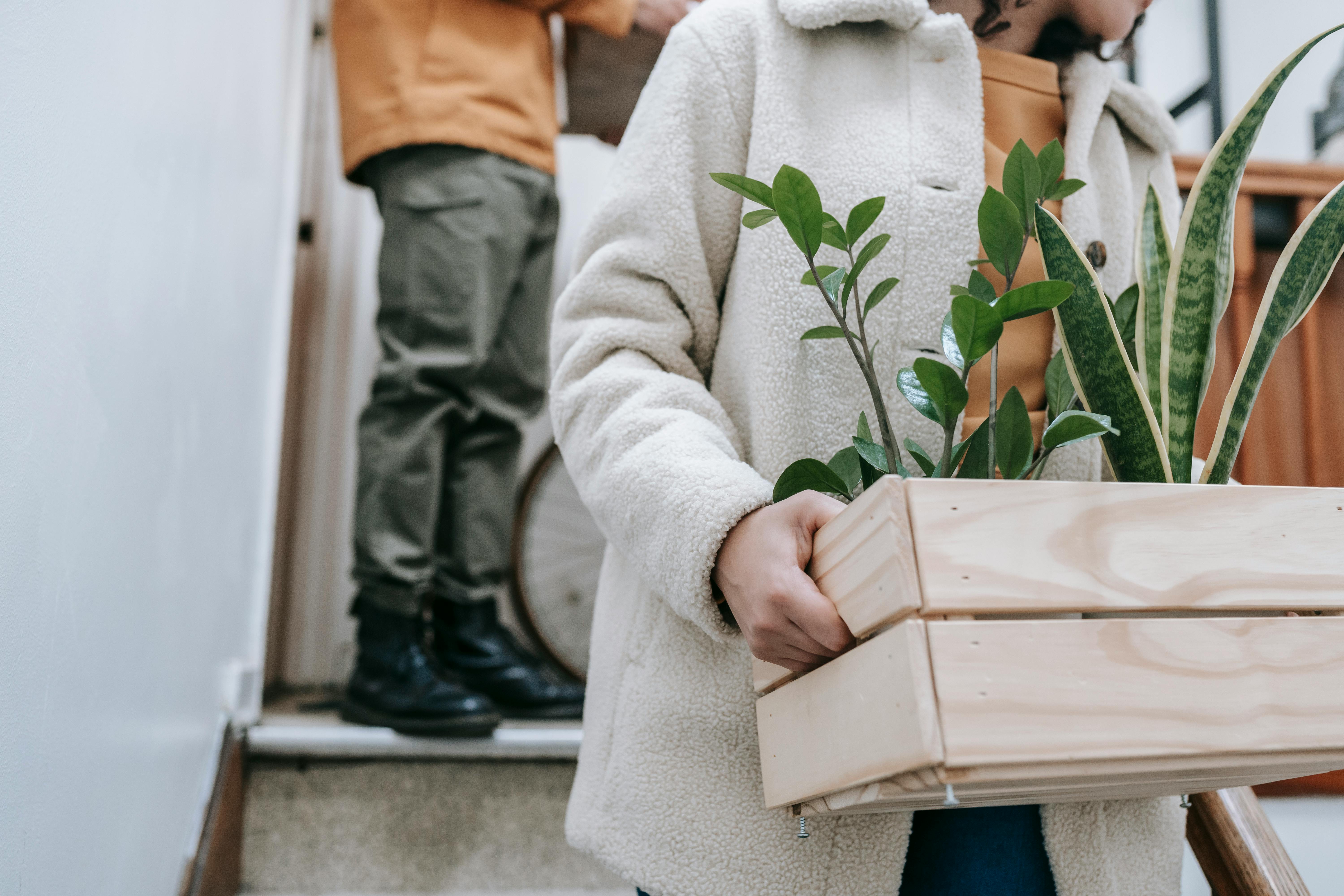 The Role of Universities in Creating a Sustainable Society